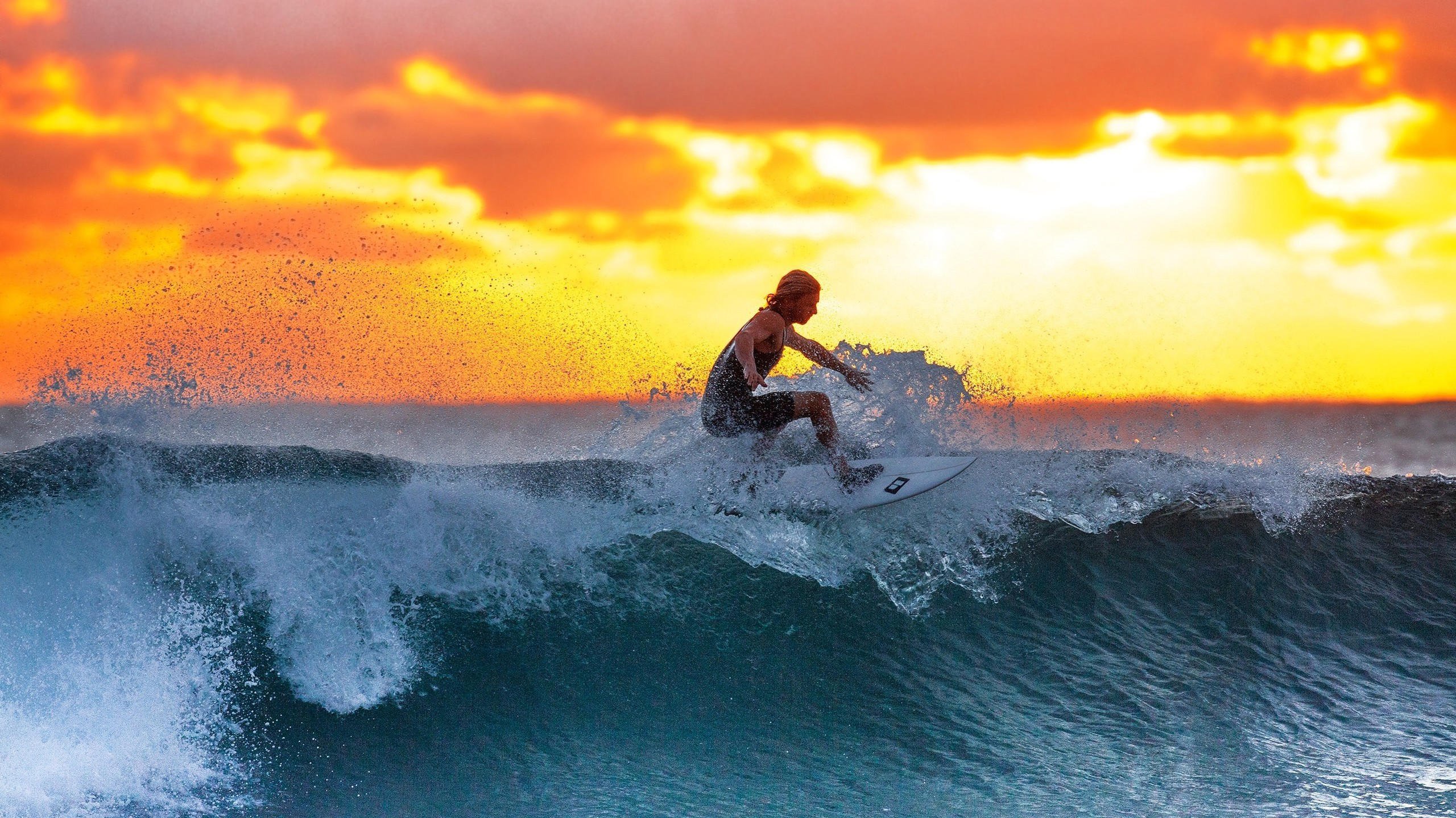开云app下载-归来如神谕，库里新规首秀引爆赛场，湖人观众倒戈欢呼，库里新规首秀引爆客场，神谕归来，湖人观众倒戈欢呼